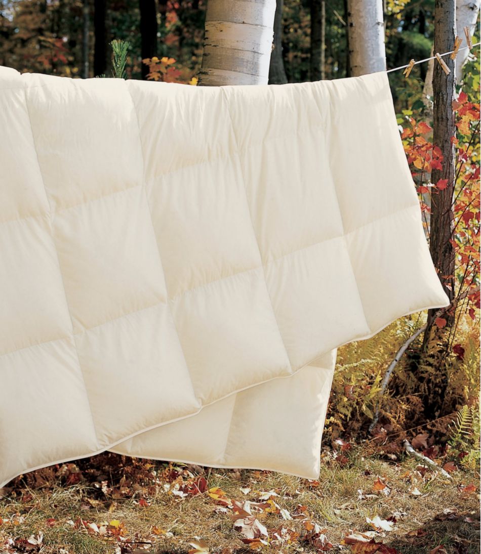 Box-Stitch Goose Down Comforter, Warm - L.L.Bean Great Value