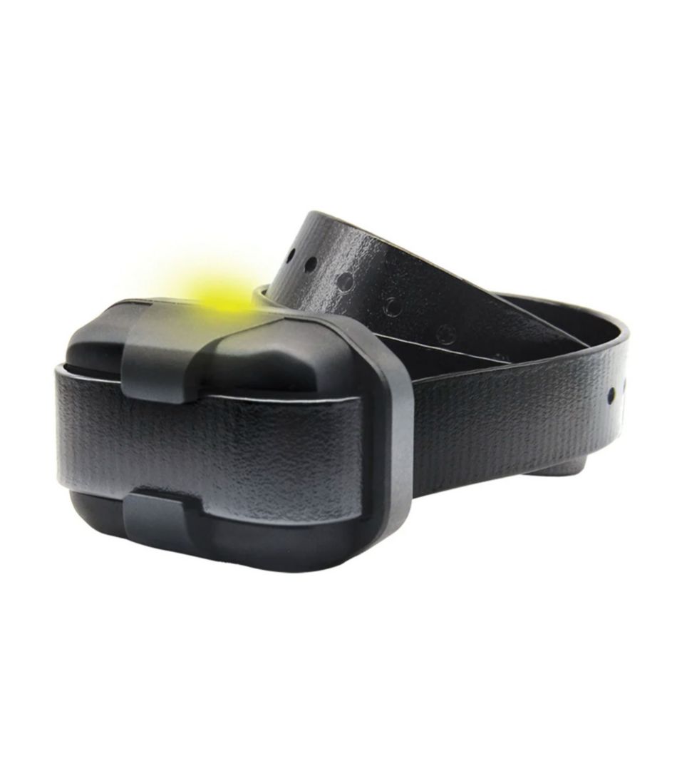 Dogtra 280-X Remote Dog Training Collar - L.L.Bean Great Value