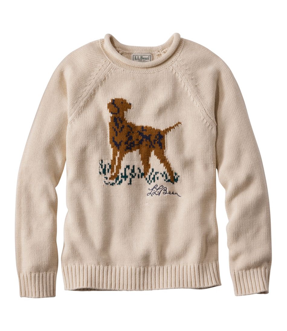 Kids' Cotton Rollneck Sweater - L.L.Bean Top Pick
