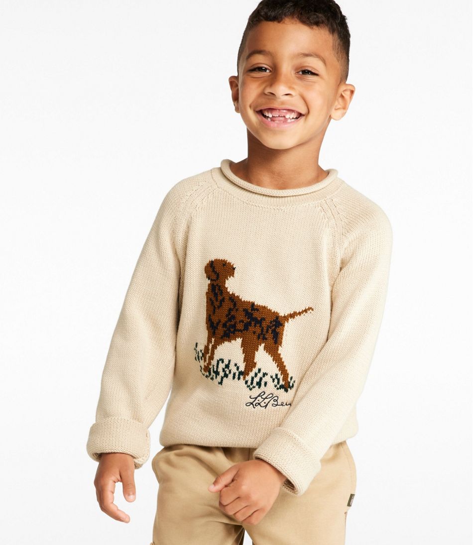 Kids' Cotton Rollneck Sweater - L.L.Bean Top Pick