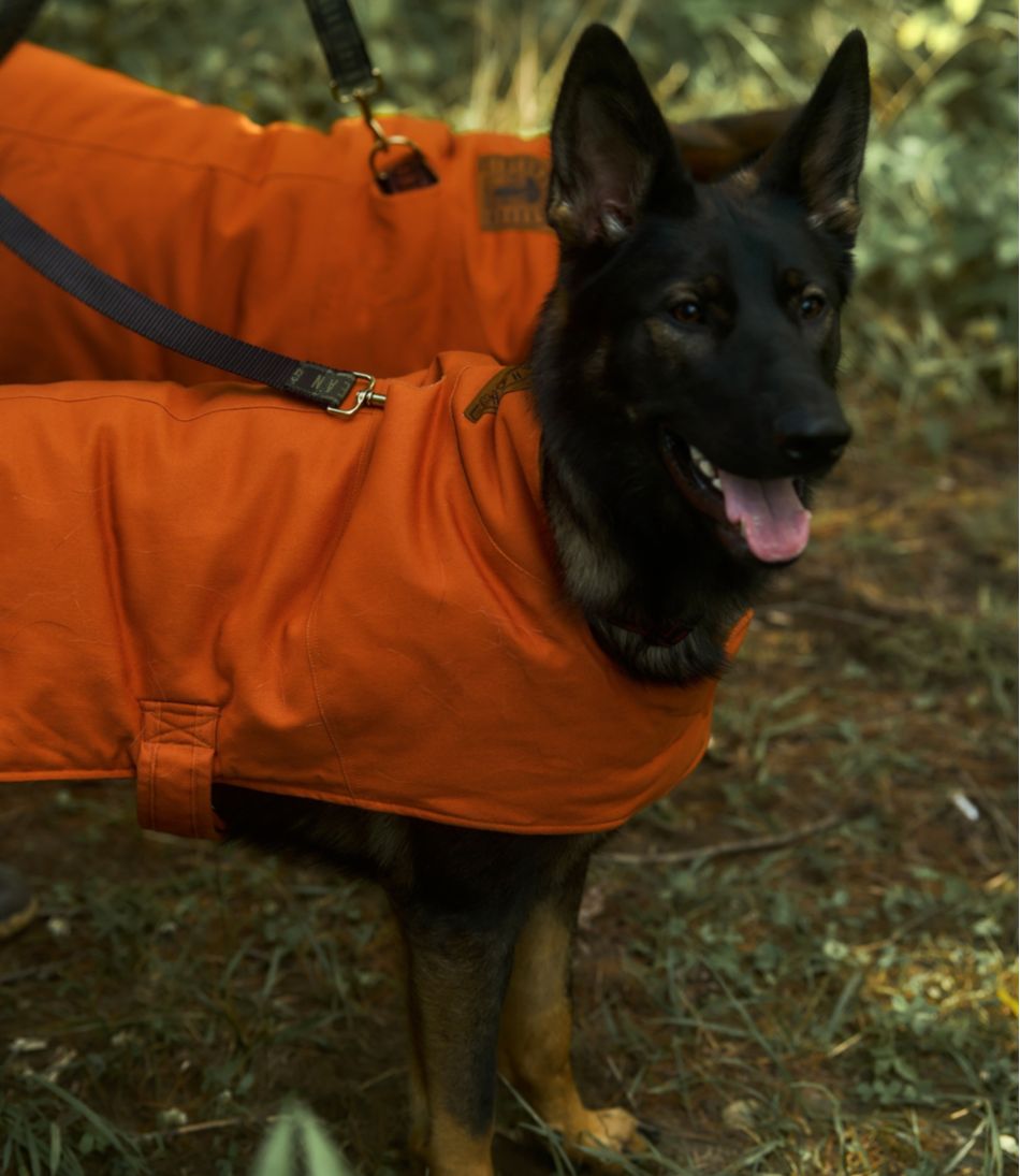L.L.Bean & Noah Kahan Reversible Field Coat for Dogs - L.L.Bean Quality