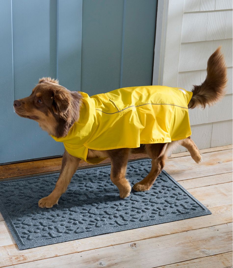 Discovery Dog Rain Jacket - L.L.Bean Exclusive