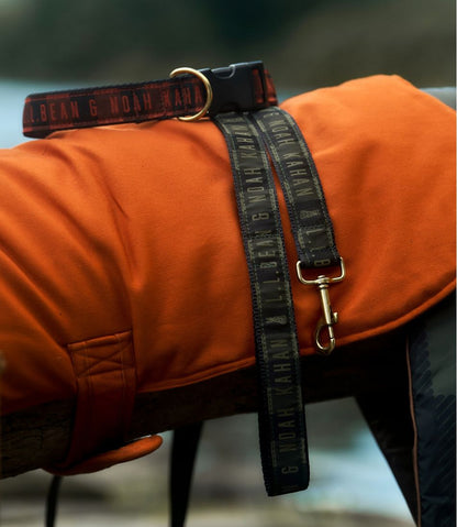 L.L.Bean & Noah Kahan Novelty Dog Collar - L.L.Bean Signature