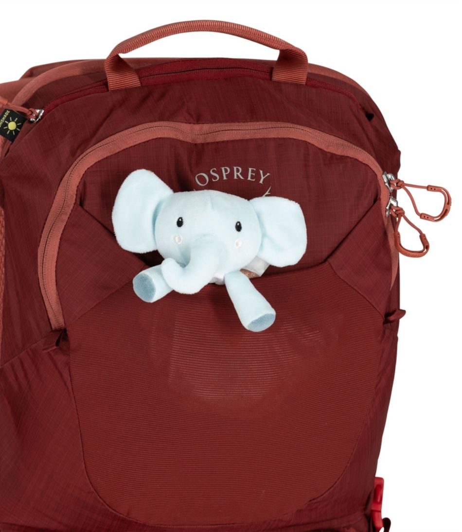 Osprey Poco LT Child Carrier Backpack - L.L.Bean Classic