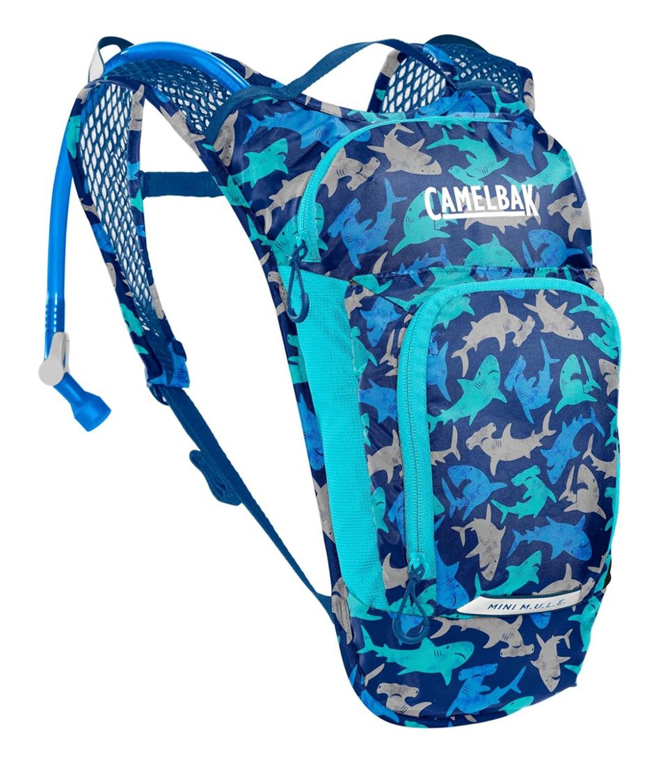 Kids' Camelbak Mini Mule Hydration Pack - L.L.Bean Exclusive