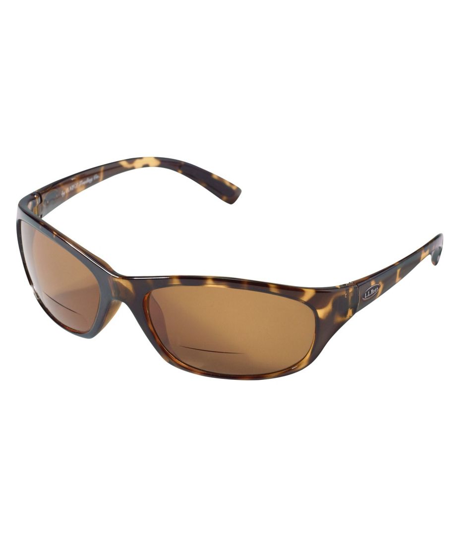 Polarized Performance Bifocals, Large - L.L.Bean Everyday