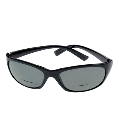 Polarized Performance Bifocals, Large - L.L.Bean Everyday