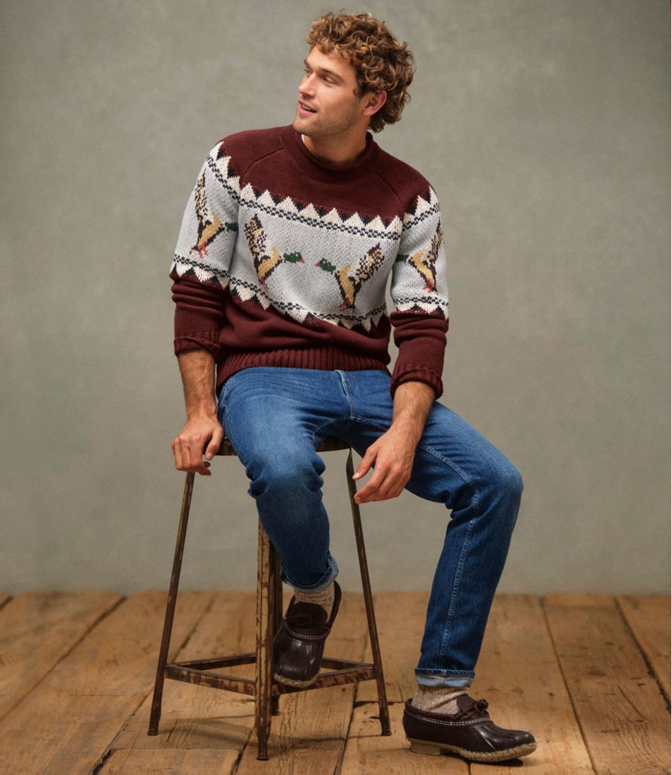 Men's Signature Organic Cotton Rollneck Sweater, Fair Isle - L.L.Bean New