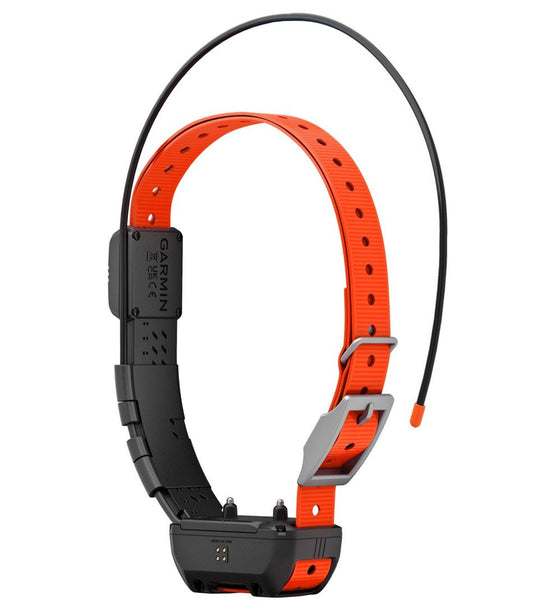 Garmin Alpha TT25 Dog Collar - L.L.Bean Recommended