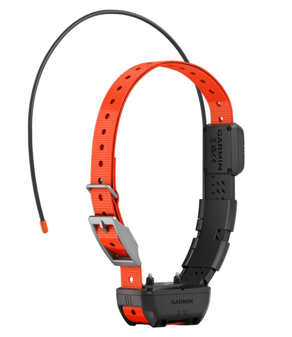 Garmin Alpha TT25 Dog Collar - L.L.Bean Recommended
