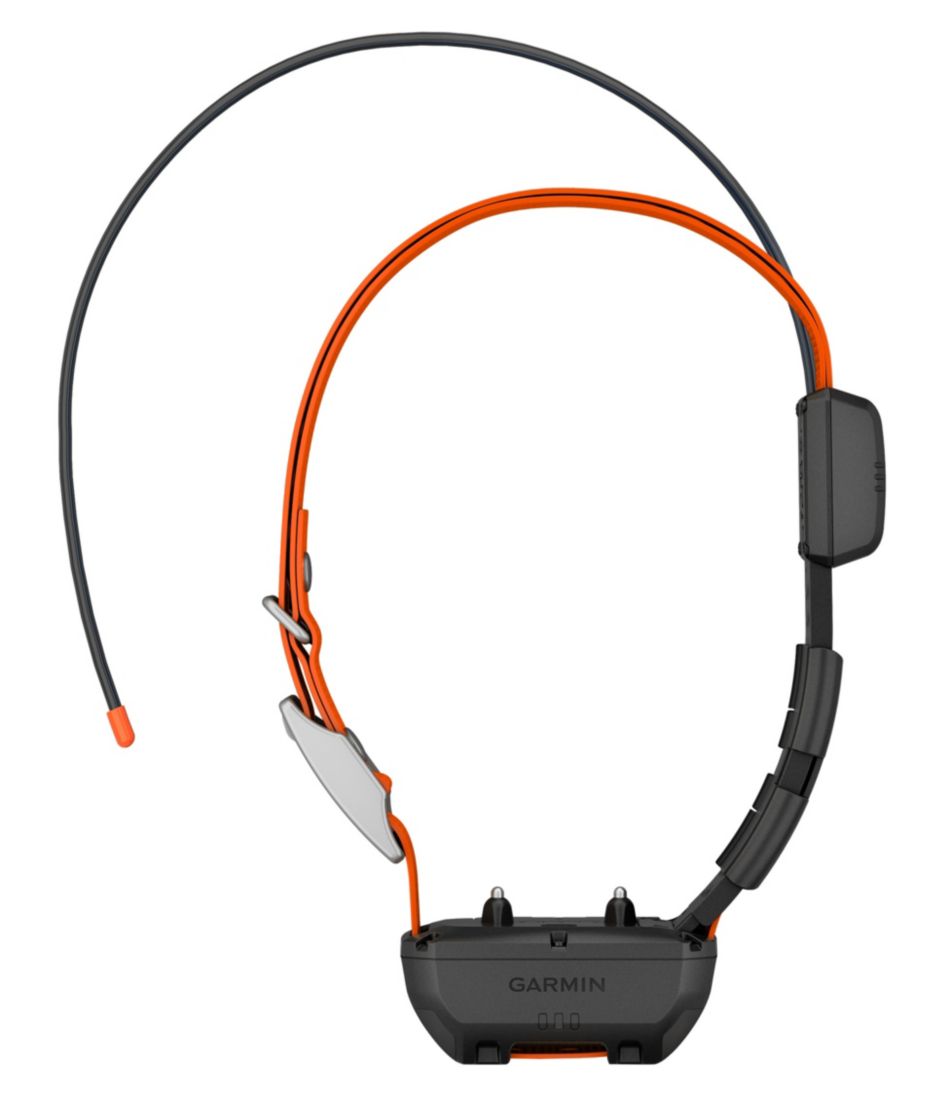 Garmin Alpha TT25 Dog Collar - L.L.Bean Recommended