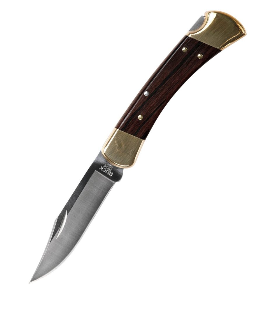 Buck 110 Folding Hunter's Knife - L.L.Bean Top Pick