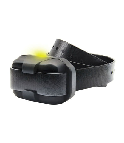 Dogtra 280-X Remote Dog Training Collar - L.L.Bean Great Value