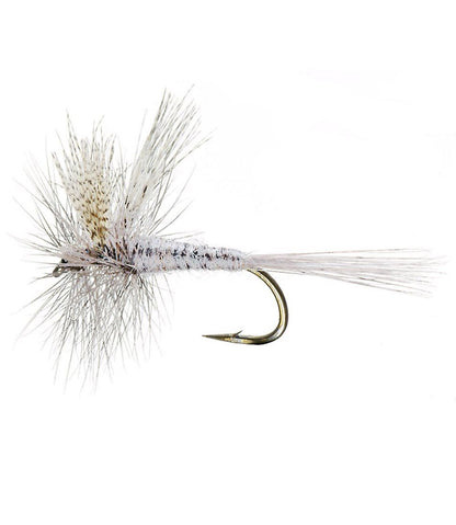 Hendrickson 2 Pack - L.L.Bean Classic