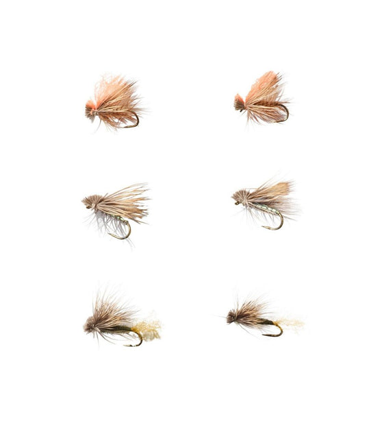 Umpqua Six-Piece Caddis Dry Fly Selection - L.L.Bean Quality