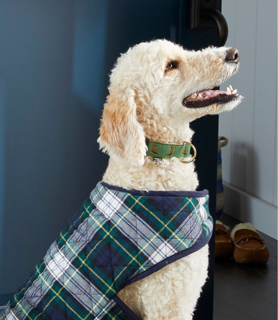 Novelty Dog Collar - L.L.Bean Best Seller