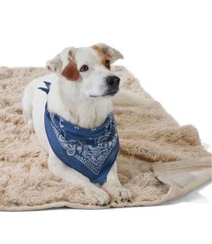 Plush Cuddler Dog Blanket - L.L.Bean Recommended