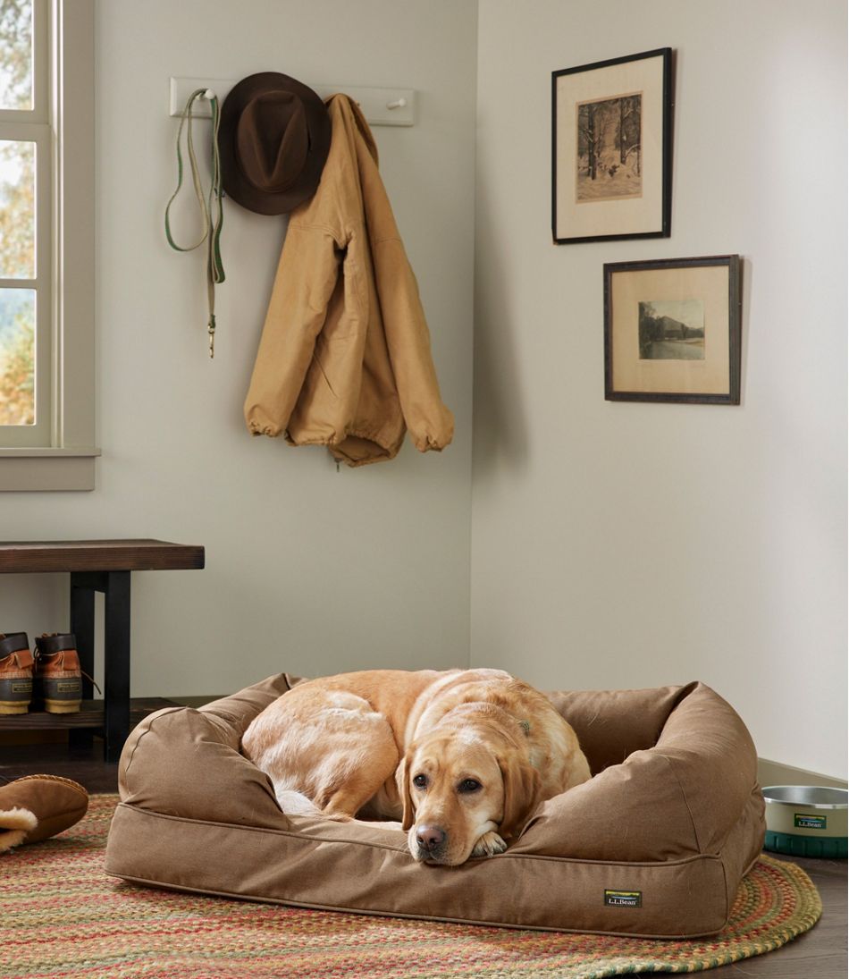 Premium Therapeutic Dog Bed Couch - L.L.Bean Latest