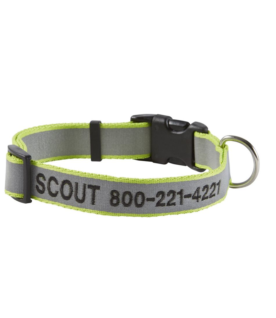 Personalized Pet Collar, Reflective - L.L.Bean Quality