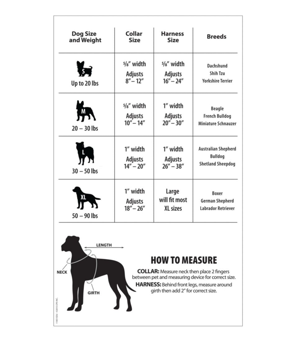 Personalized Pet Collar, Reflective - L.L.Bean Quality