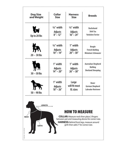 Personalized Pet Collar, Reflective - L.L.Bean Quality