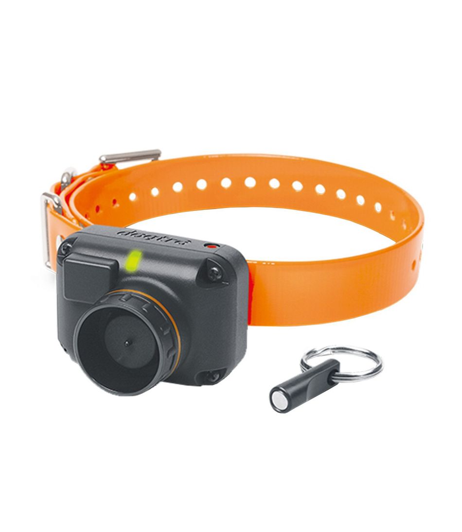 Dogtra STB Beeper Collar - L.L.Bean Exclusive